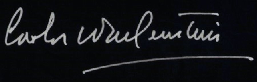 Assinatura de Carlos Wallenstein